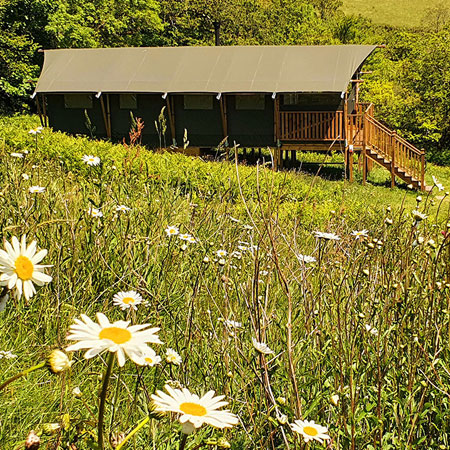 Glamping Geodome