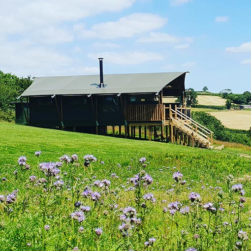 glamping holiday Devon