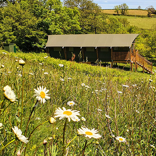 glamping holiday Devon