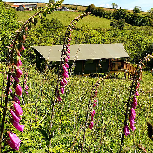 glamping holiday Devon